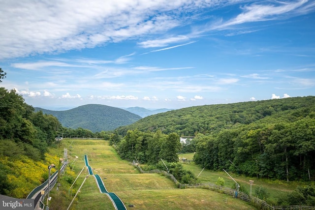 1545 Cliffs, Roseland, VA 22967 - view of mountain background featuring a heavily wooded area