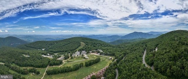 1545 Cliffs, Roseland, VA 22967 - view of mountain backdrop with a forest