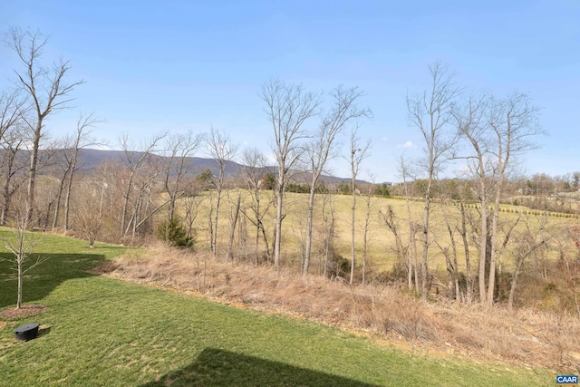 view of yard featuring a mountain view