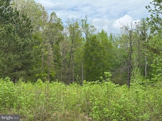 Ark Ave, Bumpass, VA 23024 - photo 10