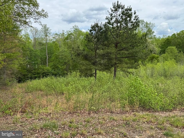 Ark Ave, Bumpass, VA 23024 - photo 14