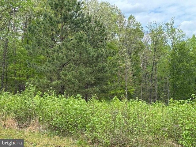 Ark Ave, Bumpass, VA 23024 - photo 11