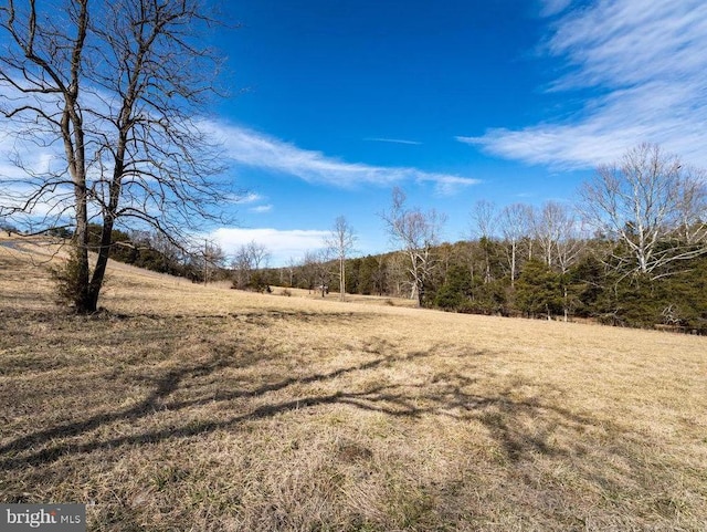 4 Shuler Ln, Stanley, VA 22851 - photo 36
