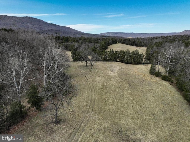 4 Shuler Ln, Stanley, VA 22851 - photo 4