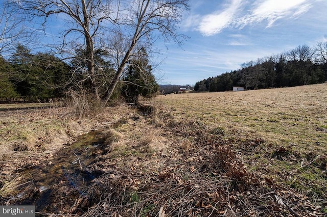 4 Shuler Ln, Stanley, VA 22851 - photo 39