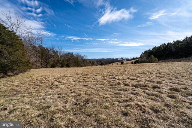 4 Shuler Ln, Stanley, VA 22851 - photo 33