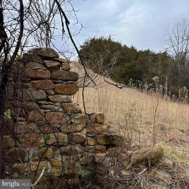 4 Shuler Ln, Stanley, VA 22851 - photo 43