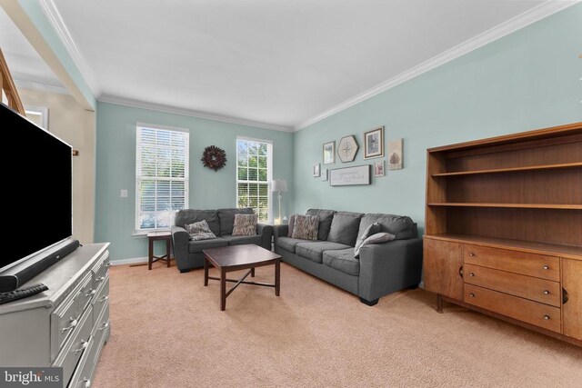 249 Whitworth Dr, Culpeper, VA 22701 - living area with crown molding and light carpet