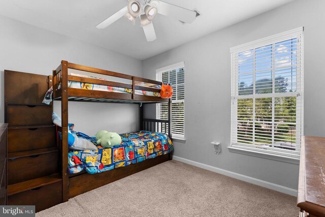 249 Whitworth Dr, Culpeper, VA 22701 - bedroom with multiple windows, carpet, and a ceiling fan