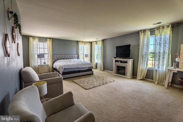 2045 Magnolia Cir, Culpeper, VA 22701 - bedroom with a glass covered fireplace and carpet floors