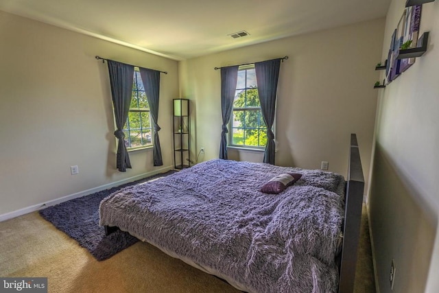 2045 Magnolia Cir, Culpeper, VA 22701 - carpeted bedroom with multiple windows and baseboards