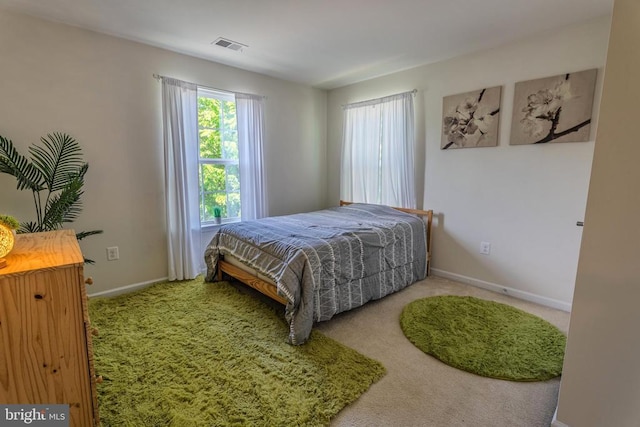 2045 Magnolia Cir, Culpeper, VA 22701 - bedroom with carpet floors and baseboards