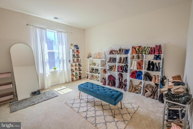 2045 Magnolia Cir, Culpeper, VA 22701 - living area with carpet flooring