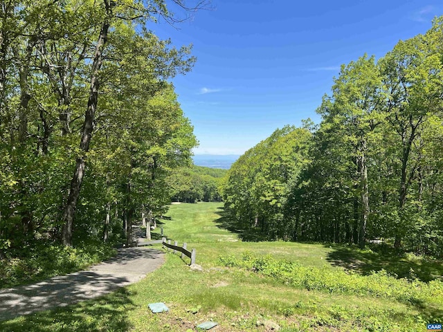 1808 High Ridge Ct, Condos, Wintergreen Resort, VA 22967 - view of yard with a view of trees