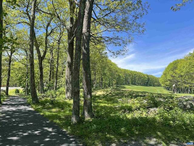 1808 High Ridge Ct, Condos, Wintergreen Resort, VA 22967 - view of property's community featuring a wooded view