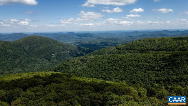 1808 High Ridge Ct, Condos, Wintergreen Resort, VA 22967 - view of mountain background featuring a heavily wooded area