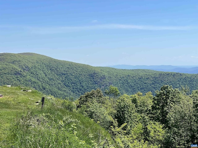 1808 High Ridge Ct, Condos, Wintergreen Resort, VA 22967 - view of mountain backdrop featuring a heavily wooded area