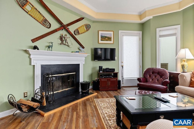 1808 High Ridge Ct, Condos, Wintergreen Resort, VA 22967 - living room with ornamental molding, wood finished floors, a glass covered fireplace, and baseboards