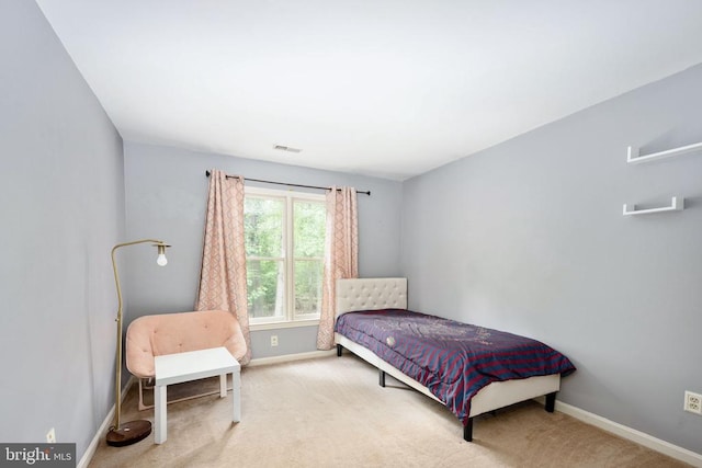 14312 River Junction Dr, Fredericksburg, VA 22407 - photo 43