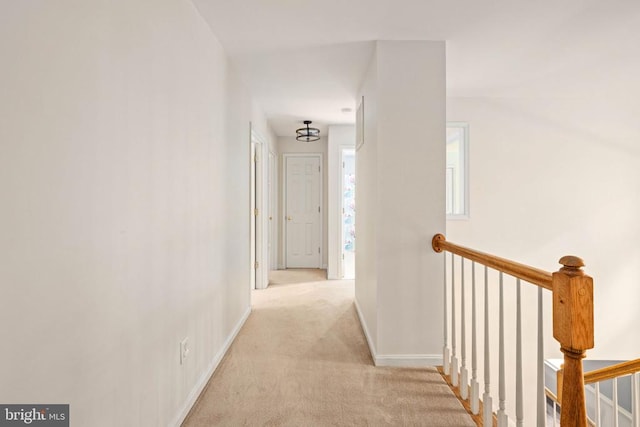 14312 River Junction Dr, Fredericksburg, VA 22407 - photo 40