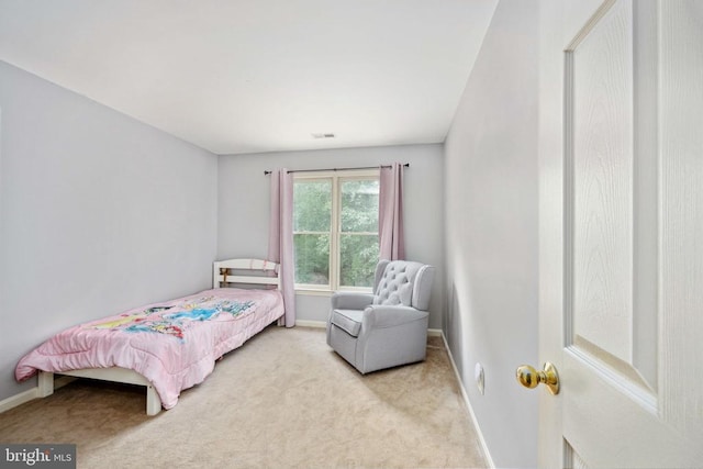 14312 River Junction Dr, Fredericksburg, VA 22407 - photo 41