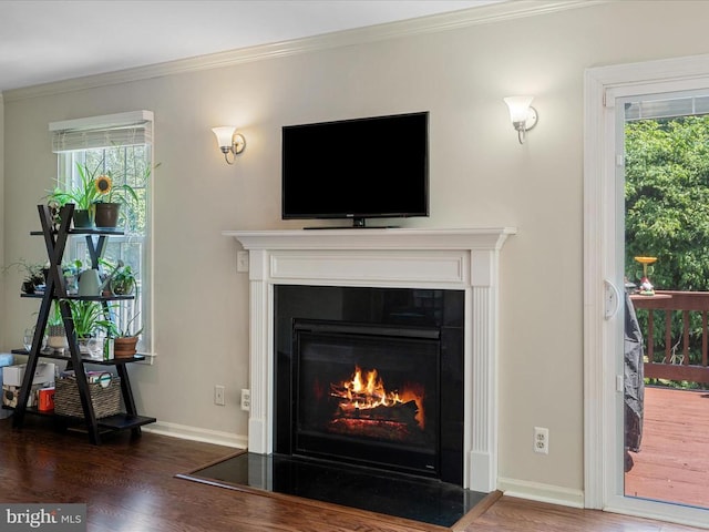 33 Pepper Tree Ct, Warrenton, VA 20186 - detailed view of wood finished floors, crown molding, and a fireplace with flush hearth