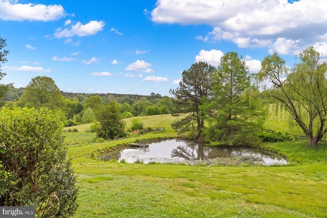2188 Seville Rd, Madison, VA 22727 - view of green lawn featuring a water view