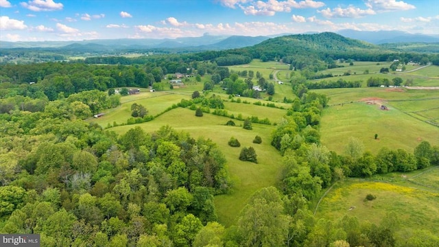 2188 Seville Rd, Madison, VA 22727 - overview of rural landscape with a mountainous background