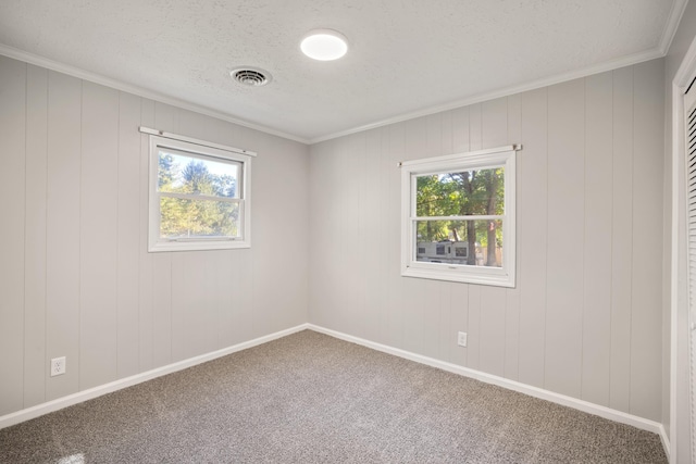 unfurnished room featuring crown molding, plenty of natural light, a textured ceiling, and carpet