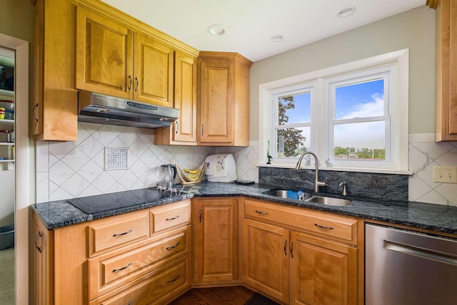 3226 Old Thirty Three Rd, Rockingham, VA 22801 - kitchen featuring under cabinet range hood, dishwasher, a sink, black electric stovetop, and backsplash