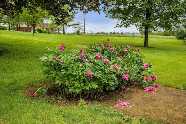 3226 Old Thirty Three Rd, Rockingham, VA 22801 - view of green lawn
