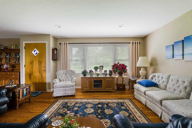 3226 Old Thirty Three Rd, Rockingham, VA 22801 - living room featuring wood finished floors
