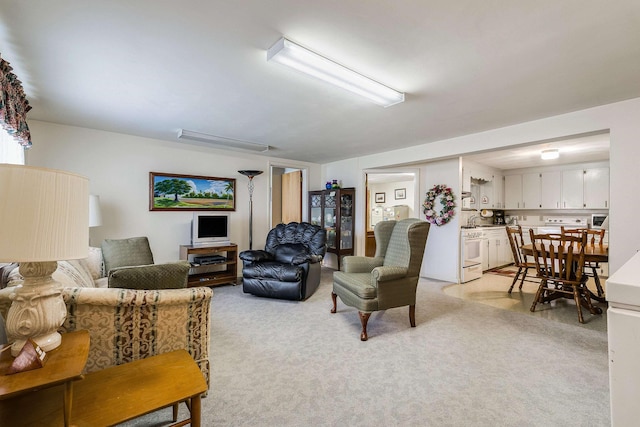 3226 Old Thirty Three Rd, Rockingham, VA 22801 - living area featuring light carpet