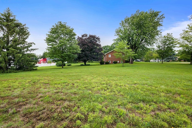 3226 Old Thirty Three Rd, Rockingham, VA 22801 - view of green lawn