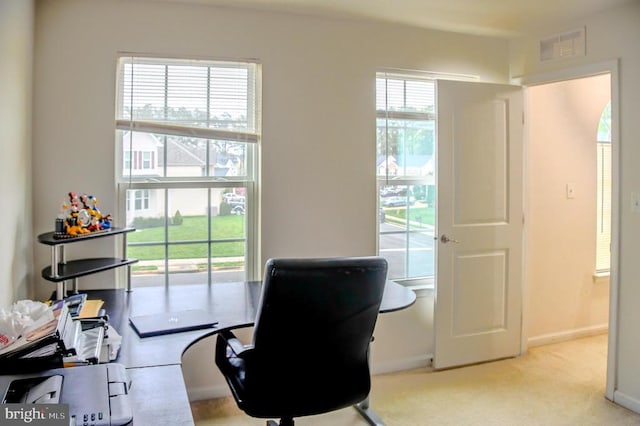 9910 Box Oak Ct, Fredericksburg, VA 22407 - photo 13