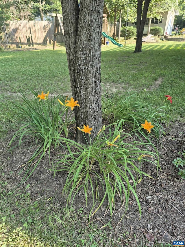 1060 E River Rd, Palmyra, VA 23055 - view of yard featuring a playground