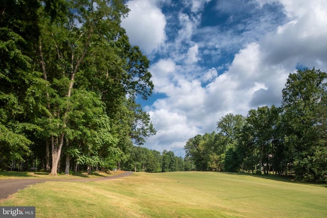 121 Birchside Cir, Locust Grove, VA 22508 - view of home's community with a lawn, view of wooded area, and view of golf course