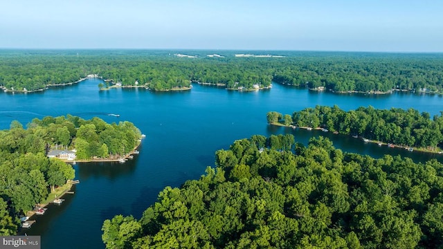 121 Birchside Cir, Locust Grove, VA 22508 - aerial view of a forest and a nearby body of water