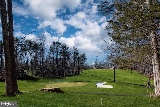 121 Birchside Cir, Locust Grove, VA 22508 - view of property's community with a lawn