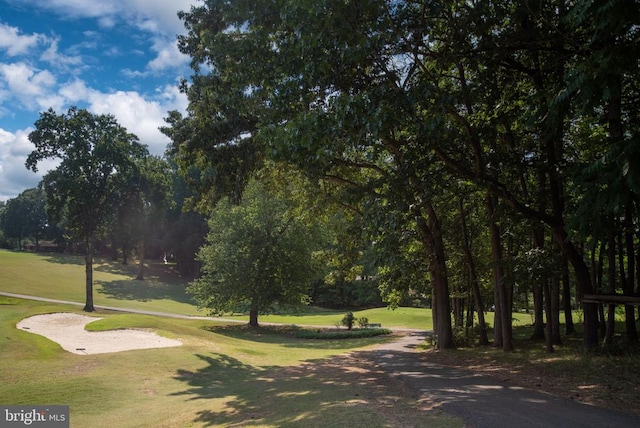 121 Birchside Cir, Locust Grove, VA 22508 - surrounding community featuring a lawn