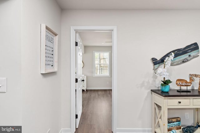121 Birchside Cir, Locust Grove, VA 22508 - hall featuring wood finished floors and baseboards