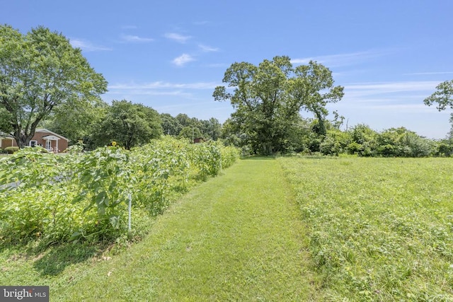 6628 Oak Park Rd, Va, VA 22730 - photo 56