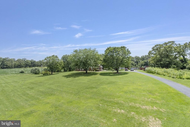 6628 Oak Park Rd, Va, VA 22730 - photo 64