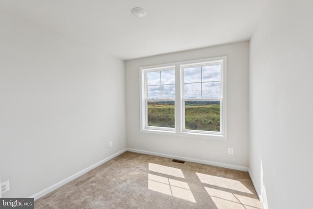 4365 Berkmar Dr, Charlottesville, VA 22911 - photo 24