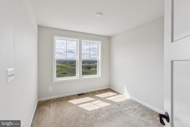 4365 Berkmar Dr, Charlottesville, VA 22911 - photo 23