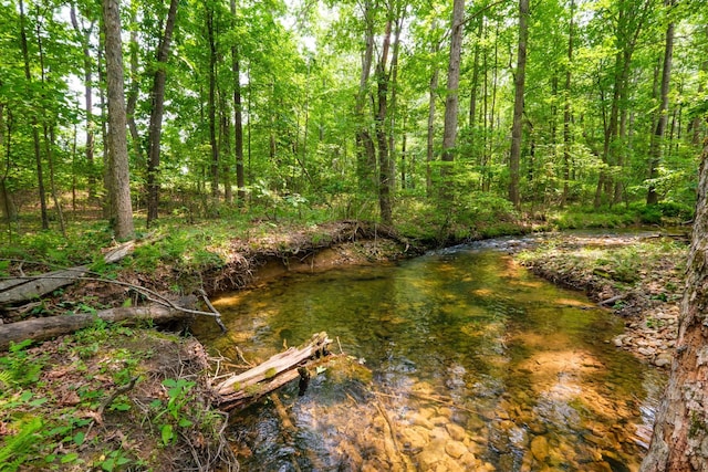 Kennedy Ridge Ct, Stuarts Draft, VA 24477