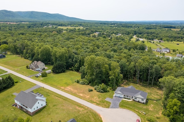 Kennedy Ridge Ct, Stuarts Draft, VA 24477