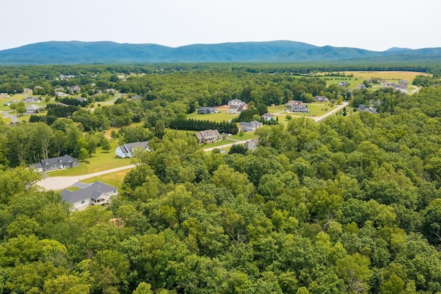 Kennedy Ridge Ct, Stuarts Draft, VA 24477