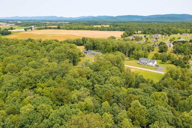 Kennedy Ridge Ct, Stuarts Draft, VA 24477
