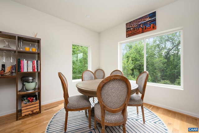 1638 Rialto St, Charlottesville, VA 22902 - photo 13
